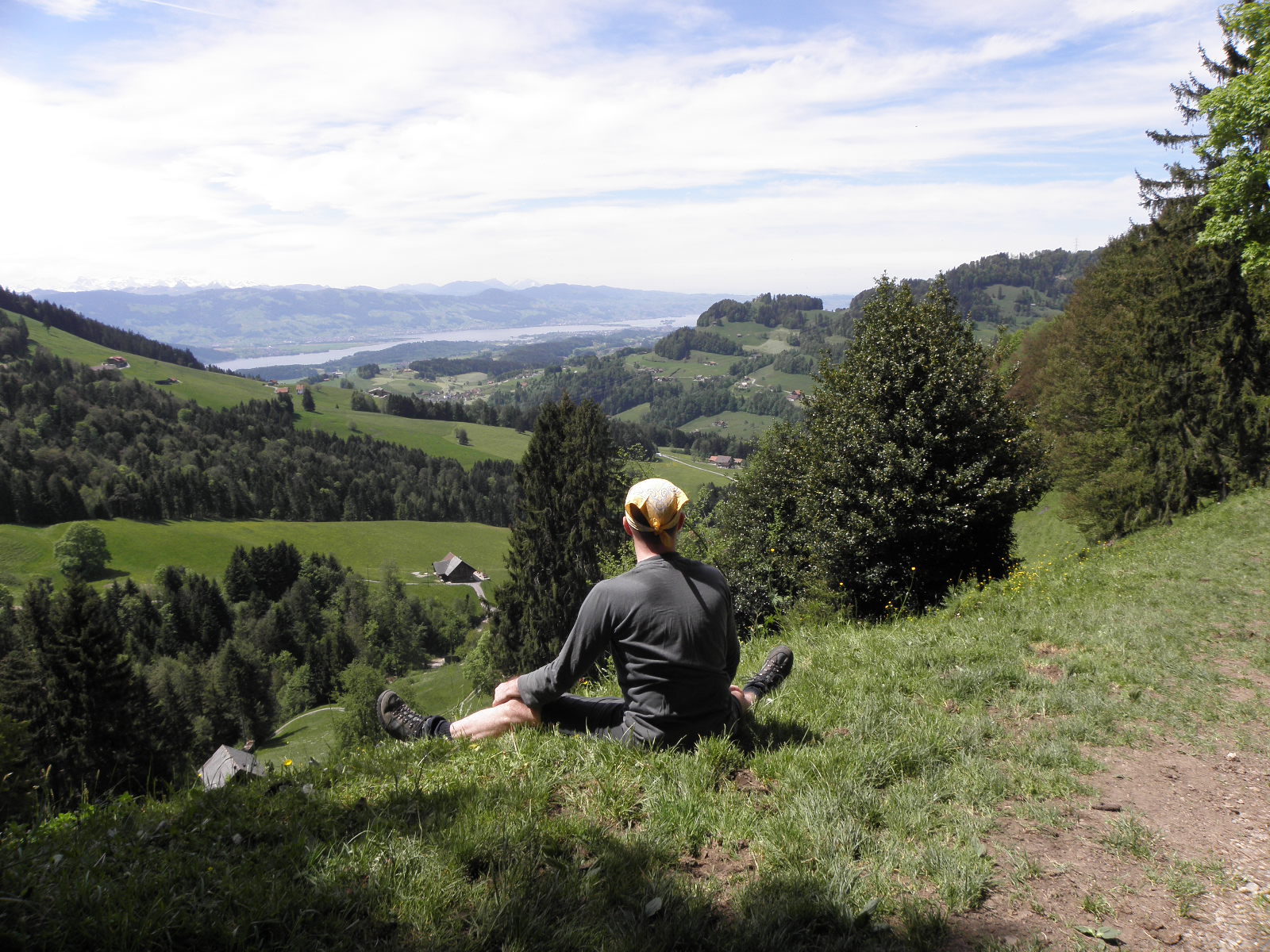 Blick Richtung Zürich- und Obersee
