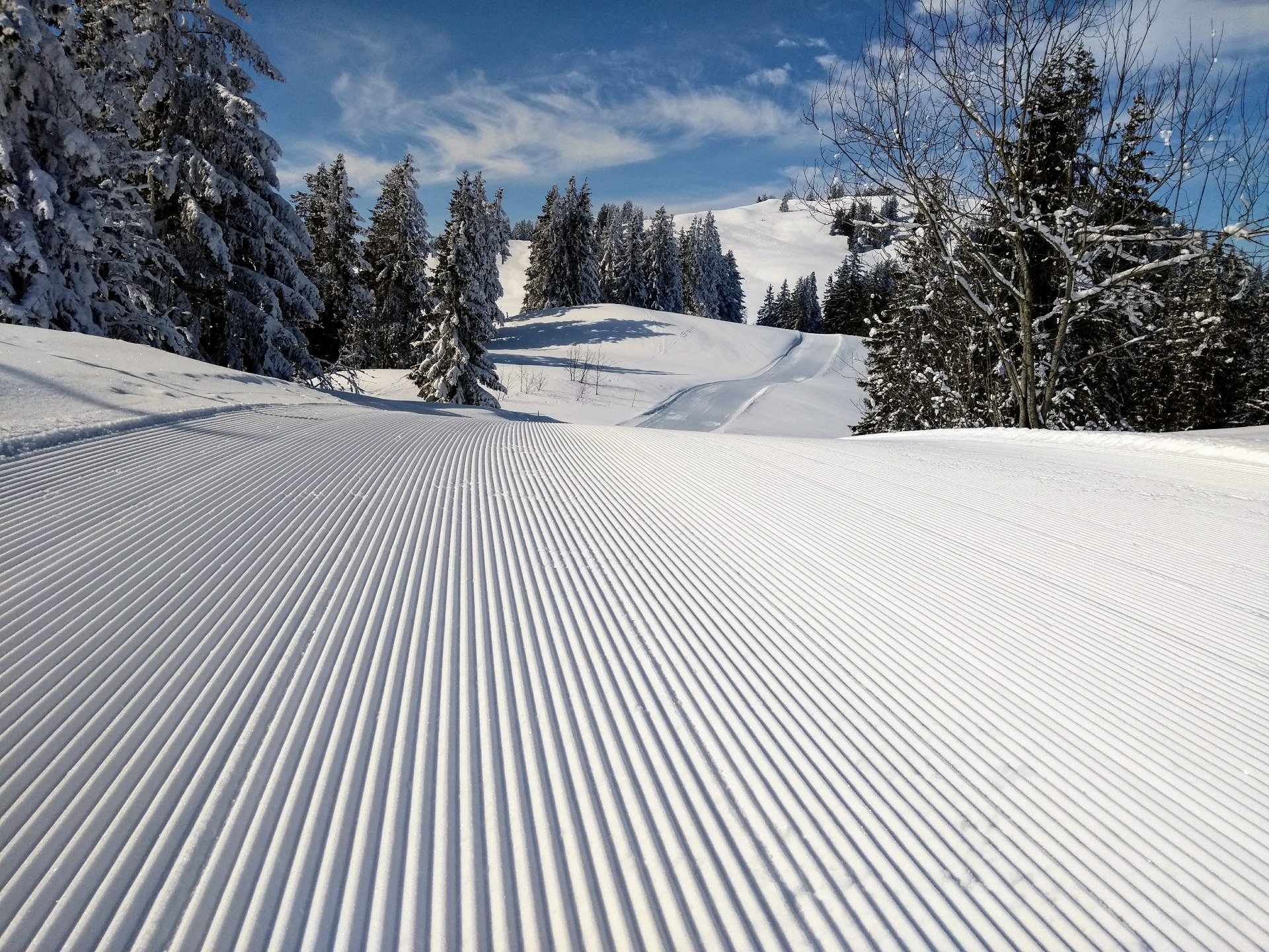 Unberührte Pisten auf der Transferroute nach Sattel Hochstuckli