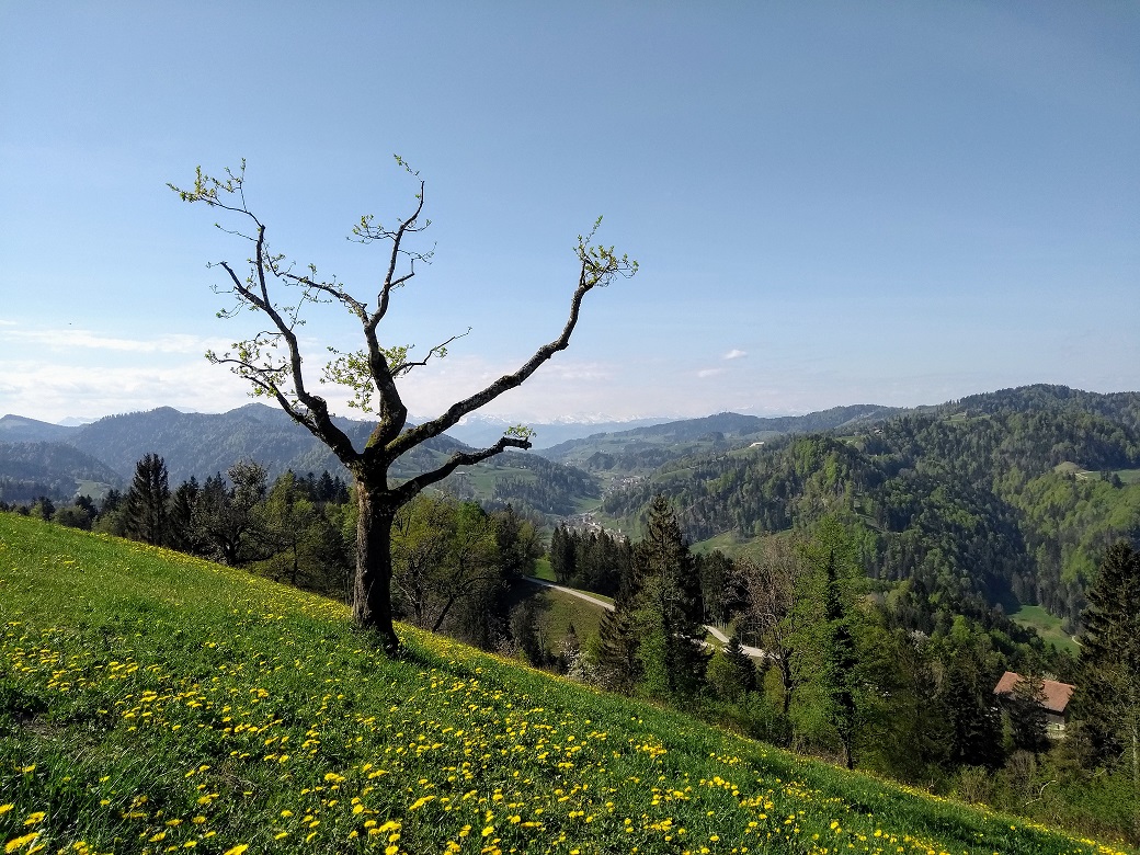 Wunderschöne Aussicht gen Westen, irgendwo unterwegs zum Gipfel.