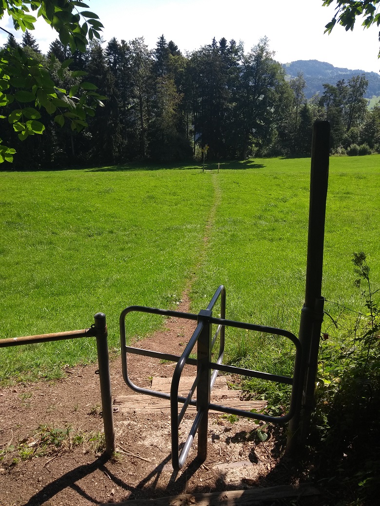 Wald-, Wiesen-, Schotter-, Asphaltwege - es gab alles.