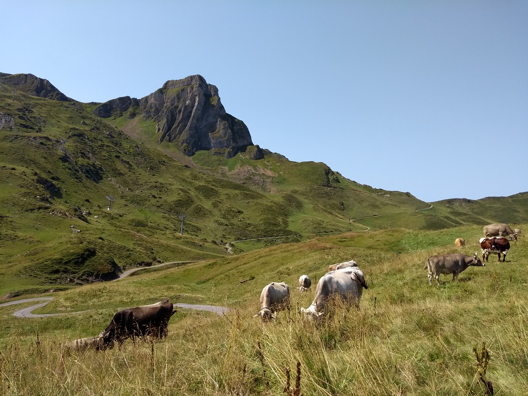 Kurz vor dem Maschgenkamm