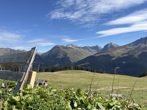 Blick Richtung Davos